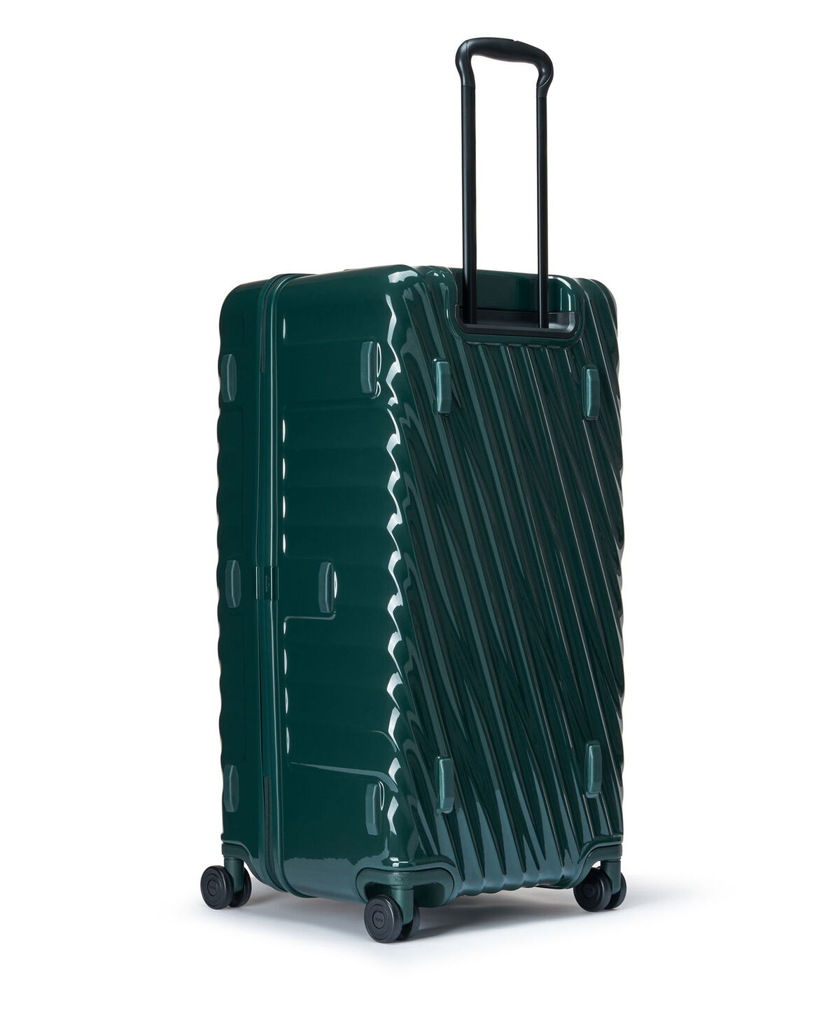 19 Degree Trunk Large