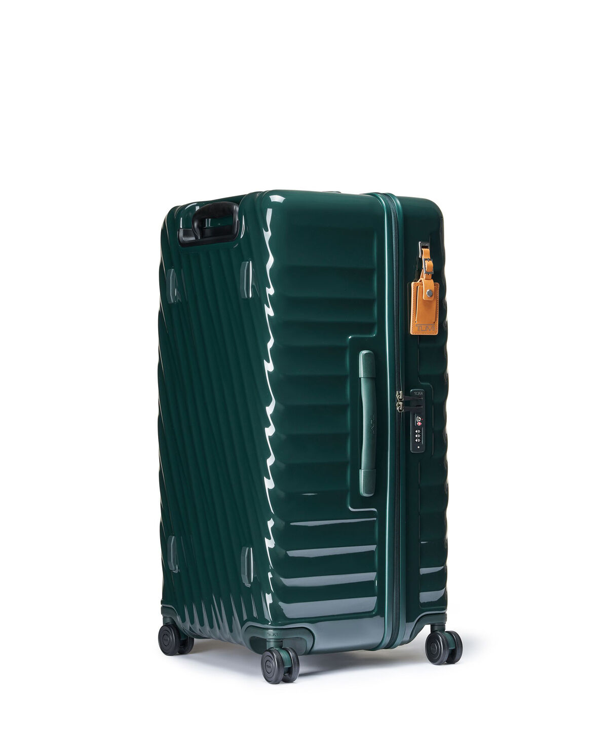 19 Degree Trunk Large