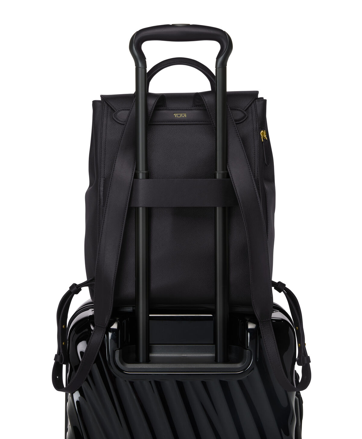 Agent Zaino Medium Agent